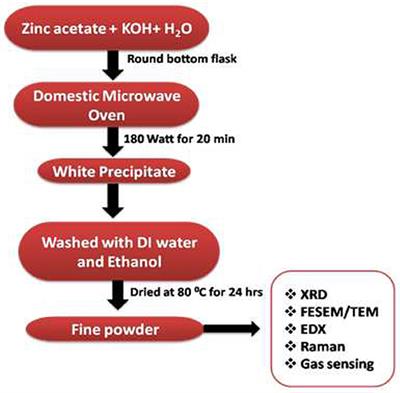 Flower-Like ZnO Nanorods Synthesized by Microwave-Assisted One-Pot Method for Detecting Reducing Gases: Structural Properties and Sensing Reversibility